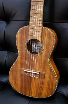 Denver - Guitar Ukulele